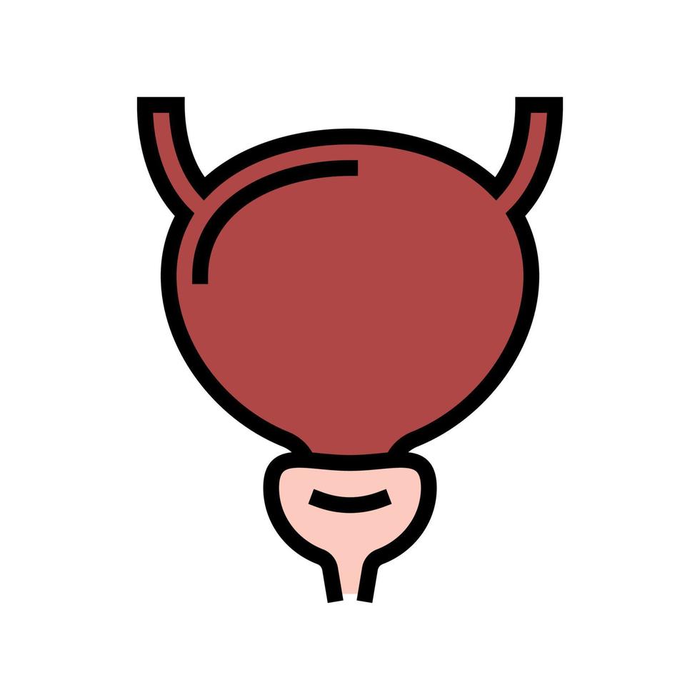 illustrazione vettoriale dell'icona del colore dell'organo umano della vescica