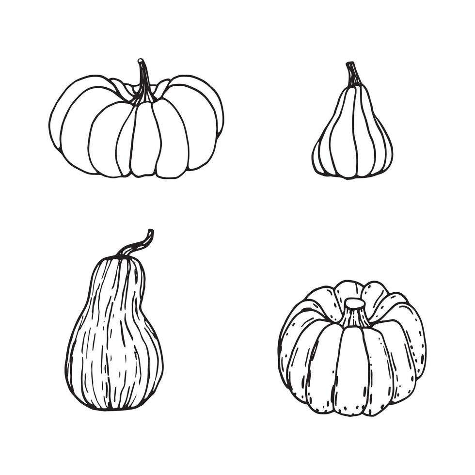 set di zucche in bianco e nero disegnato a mano. cartone animato di verdure in stile doodle. simbolo del raccolto autunnale e di Halloween. vettore