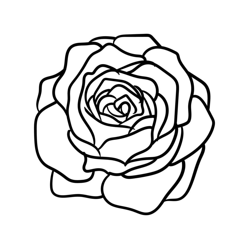 illustrazione di vettore del fiore di rosa di arte linea disegnata a mano