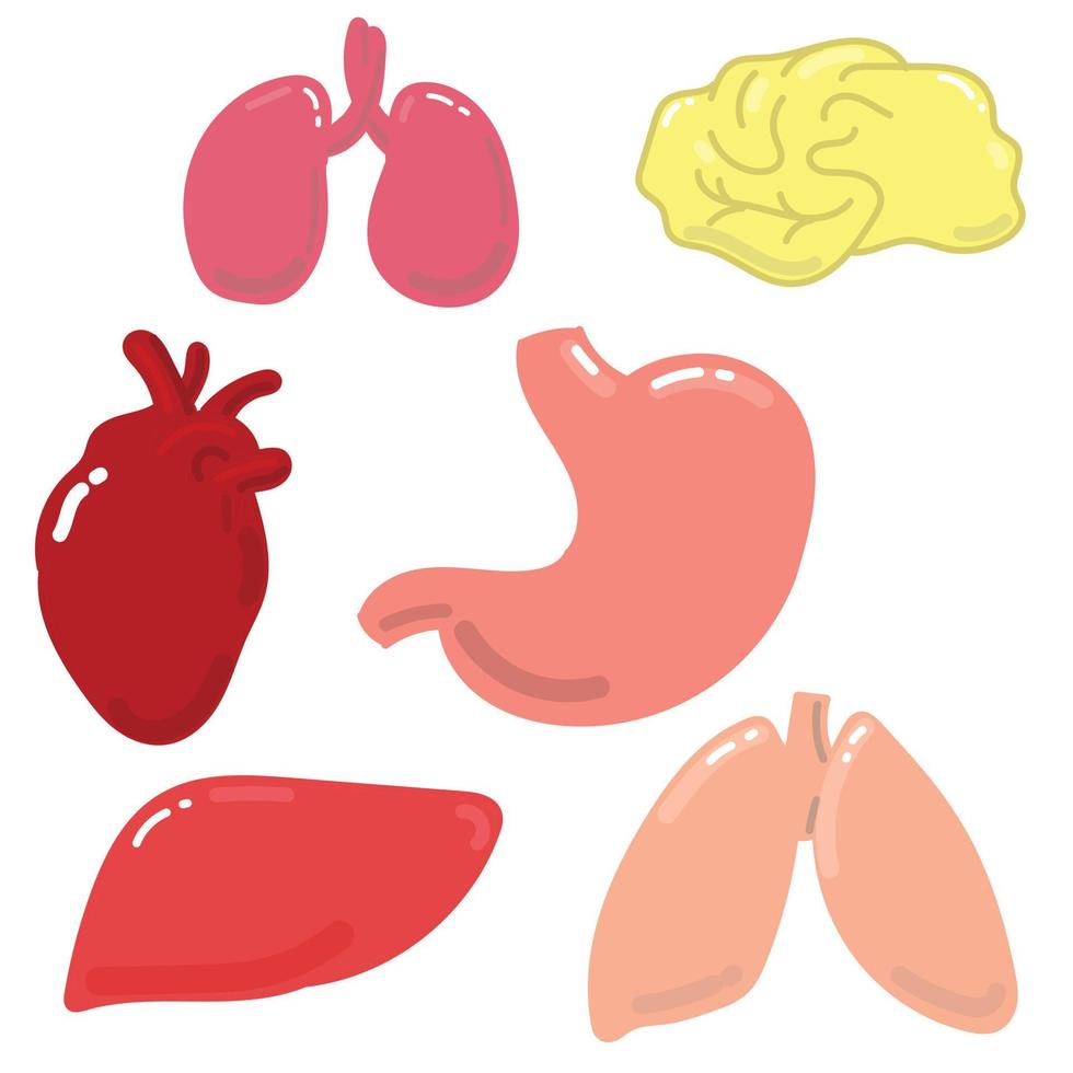 illustrazione stock disegno vettoriale organi interni. semplice disegno luminoso su un soggetto medico, organi interni umani. piatto, scarabocchio, stile cartone. stomaco, cervello, reni, fegato, cuore, polmoni.