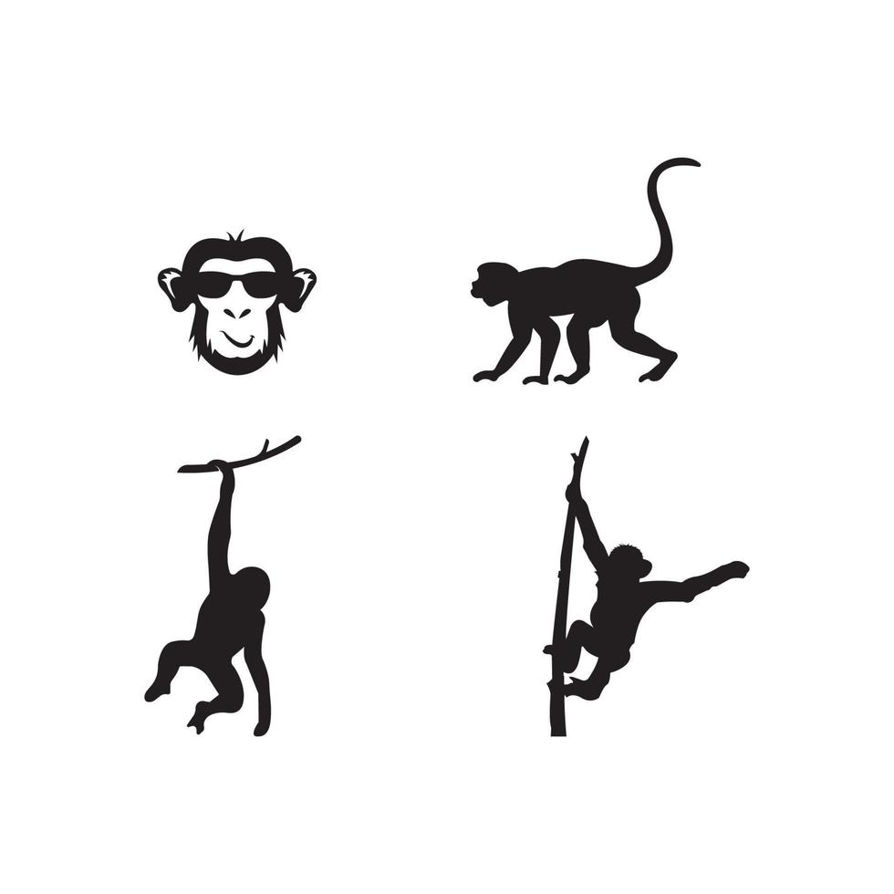 disegno del modello dell'illustrazione di vettore del logo della scimmia.