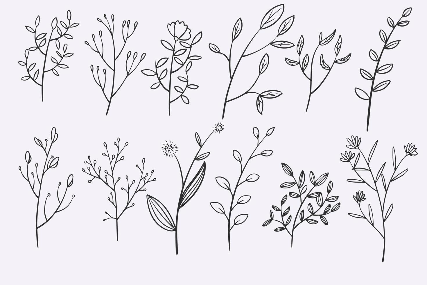 set di illustrazioni vettoriali disegnate a mano con doodle di foglie di fiori