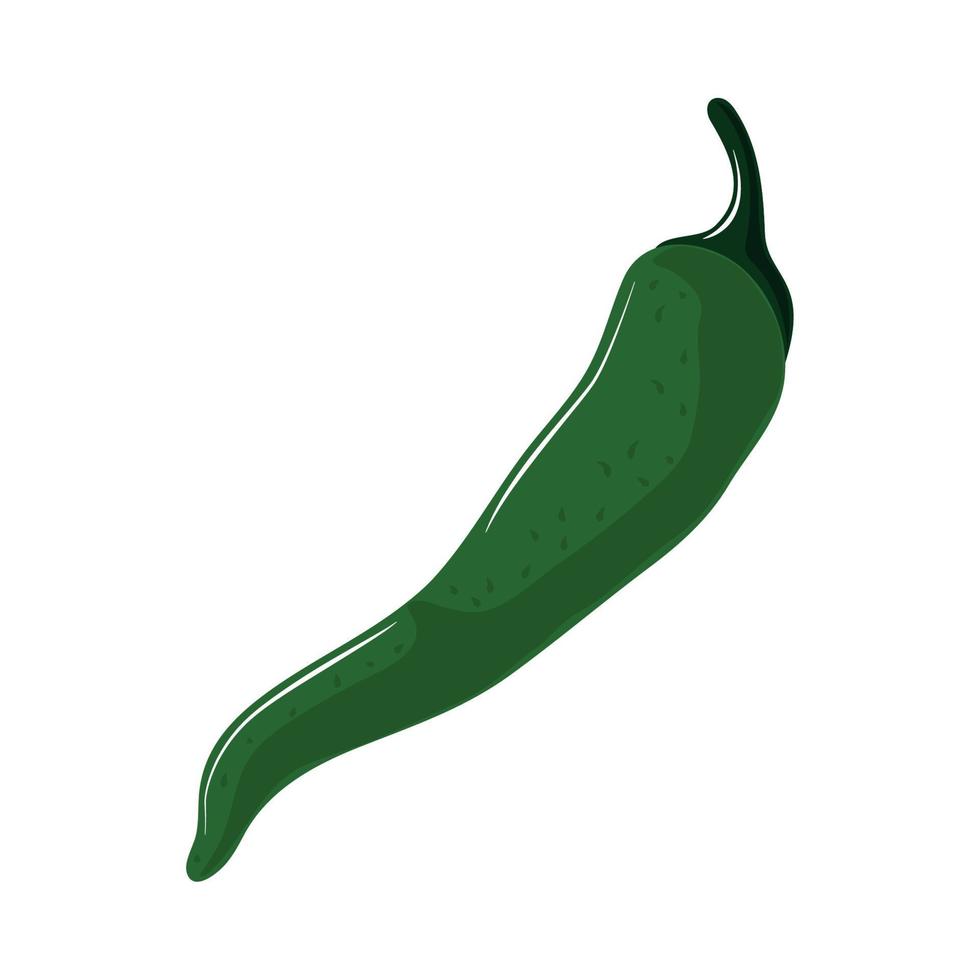 peperoncino verde vettore