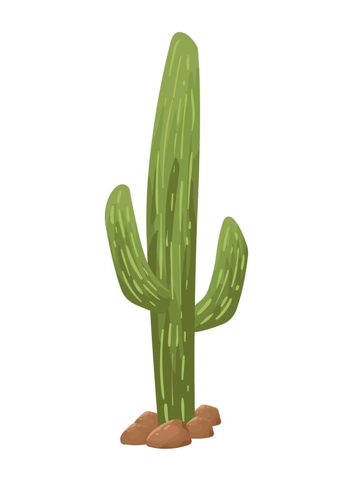 pianta di cactus del deserto vettore