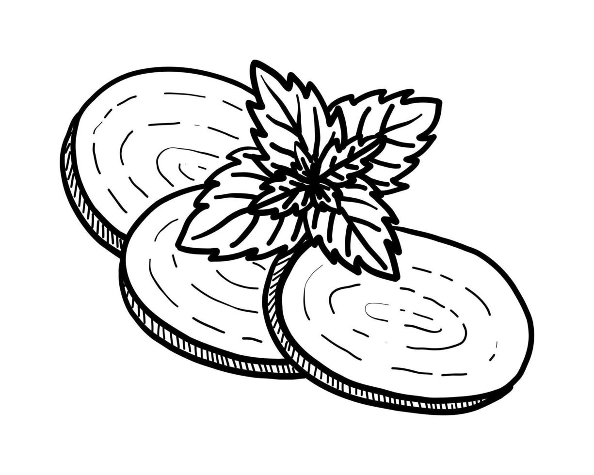 disegno di contorno vettoriale di fette di mozzarella su sfondo bianco