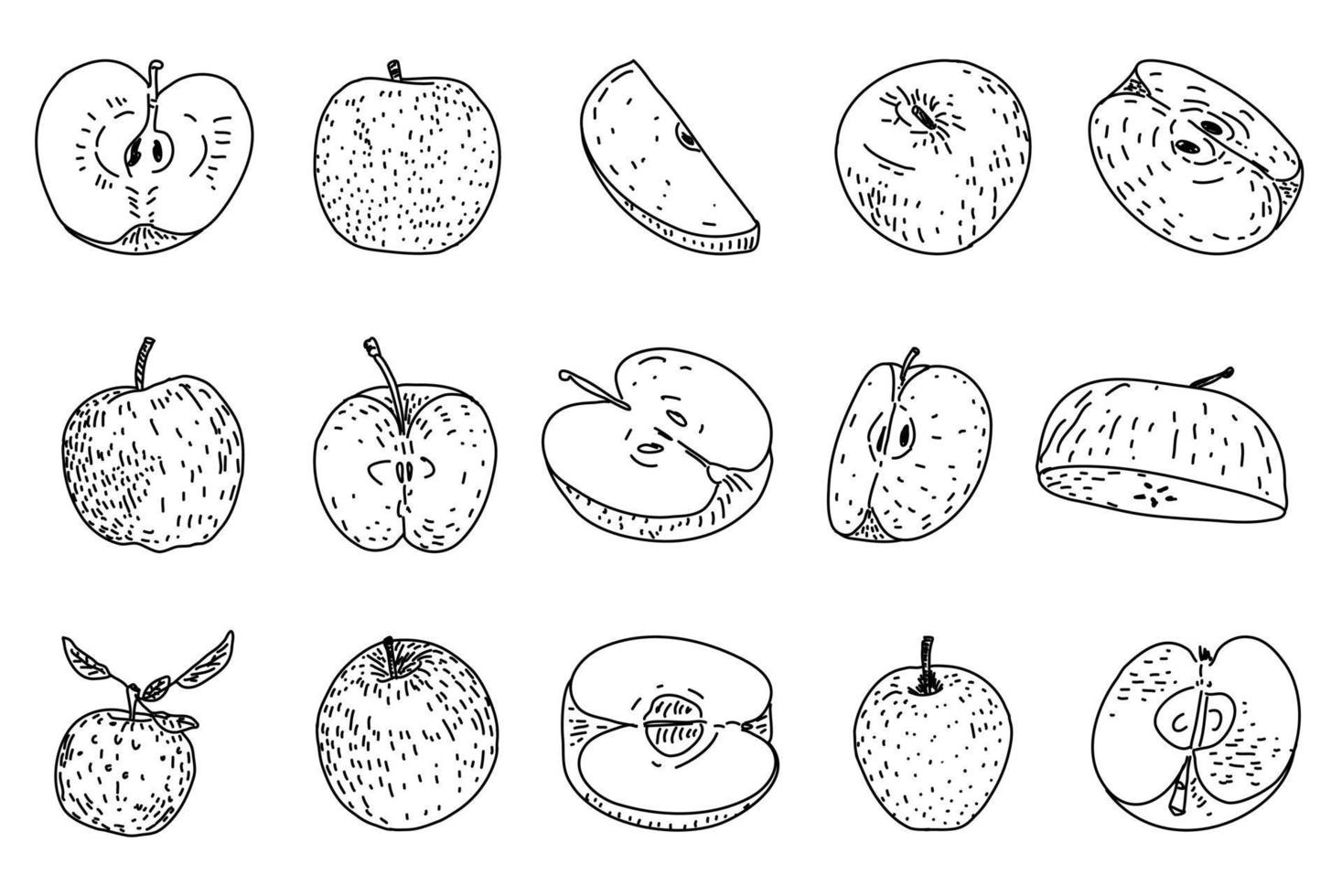 illustrazioni vettoriali disegnate a mano di mela.