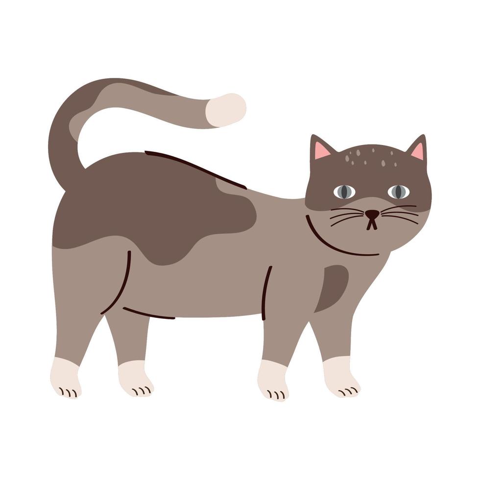 simpatico gatto grigio animale domestico vettore