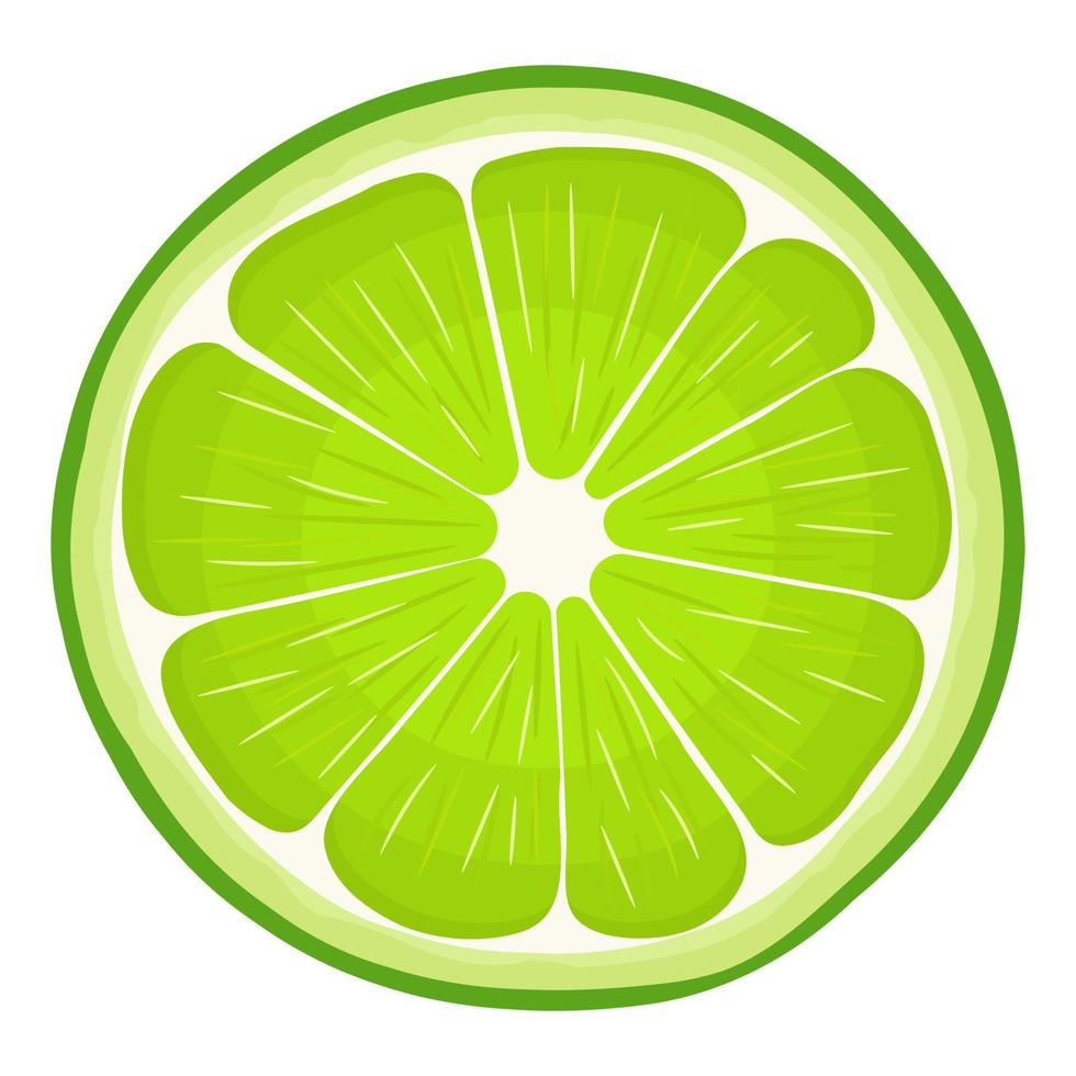 frutta fresca esotica fresca di limetta isolata su sfondo bianco. frutta estiva per uno stile di vita sano. frutta biologica. stile cartone animato. illustrazione vettoriale per qualsiasi disegno.