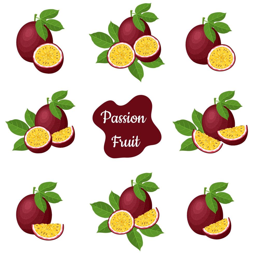 set di frutti della passione freschi interi, metà, tagliati isolati su sfondo bianco. frutta estiva per uno stile di vita sano. frutta biologica. stile cartone animato. illustrazione vettoriale per qualsiasi disegno.