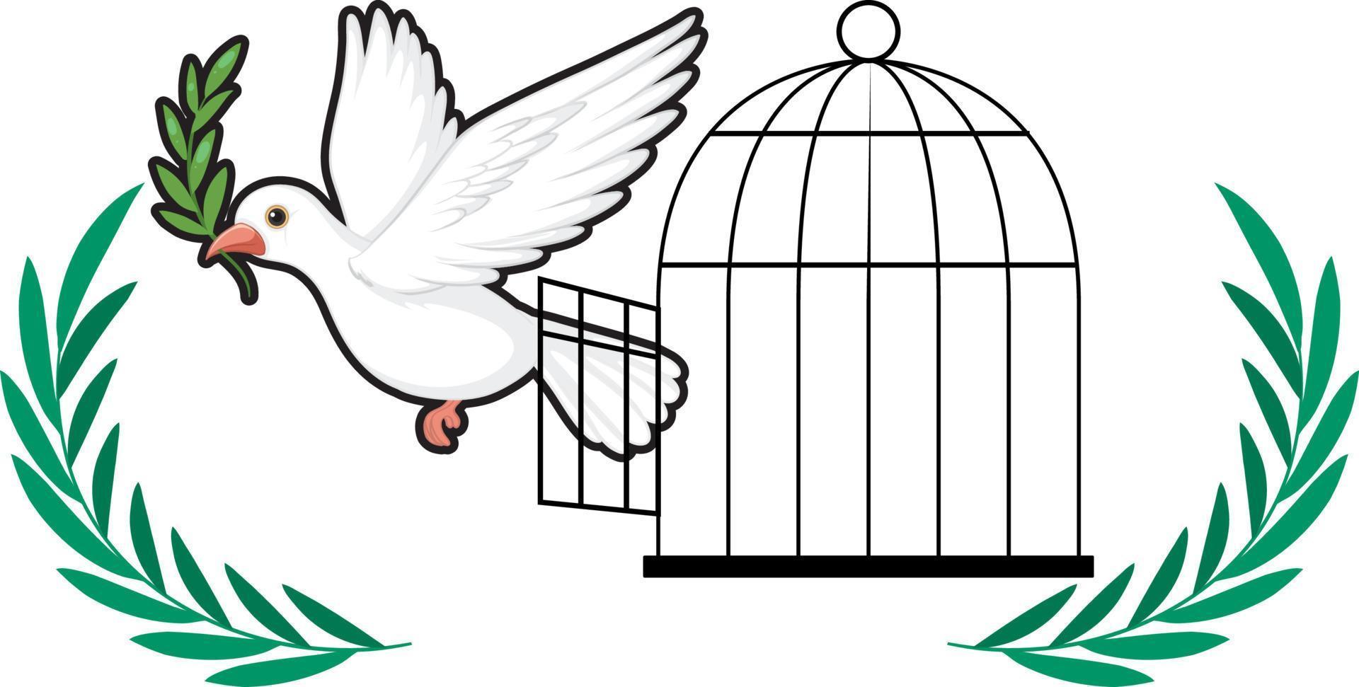 vettore di concetto di colomba uccello logo