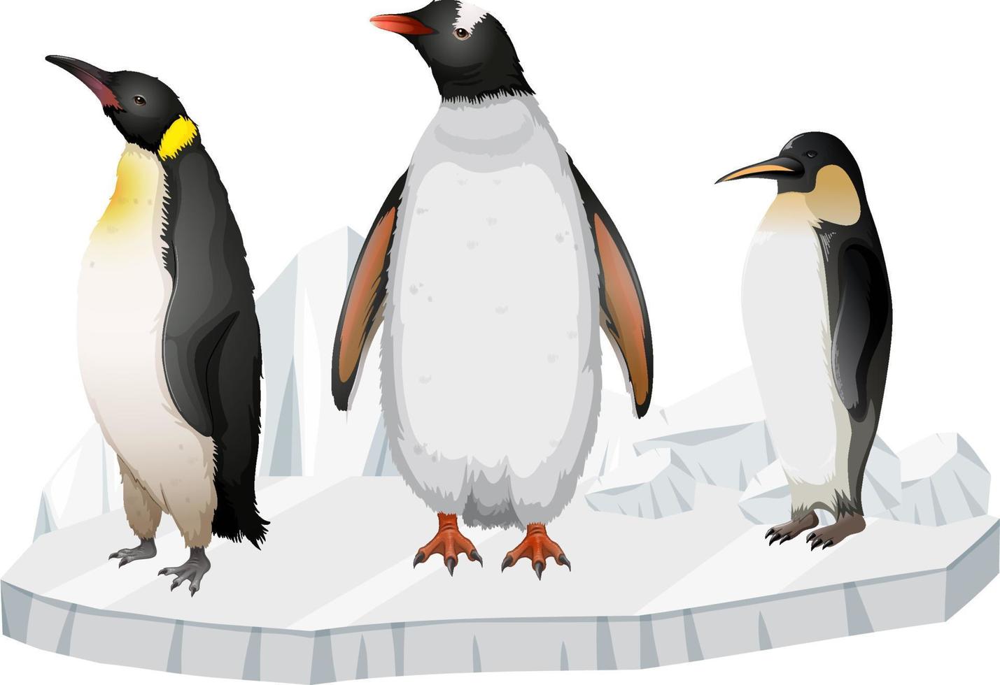pinguini in piedi sulla lastra di ghiaccio vettore
