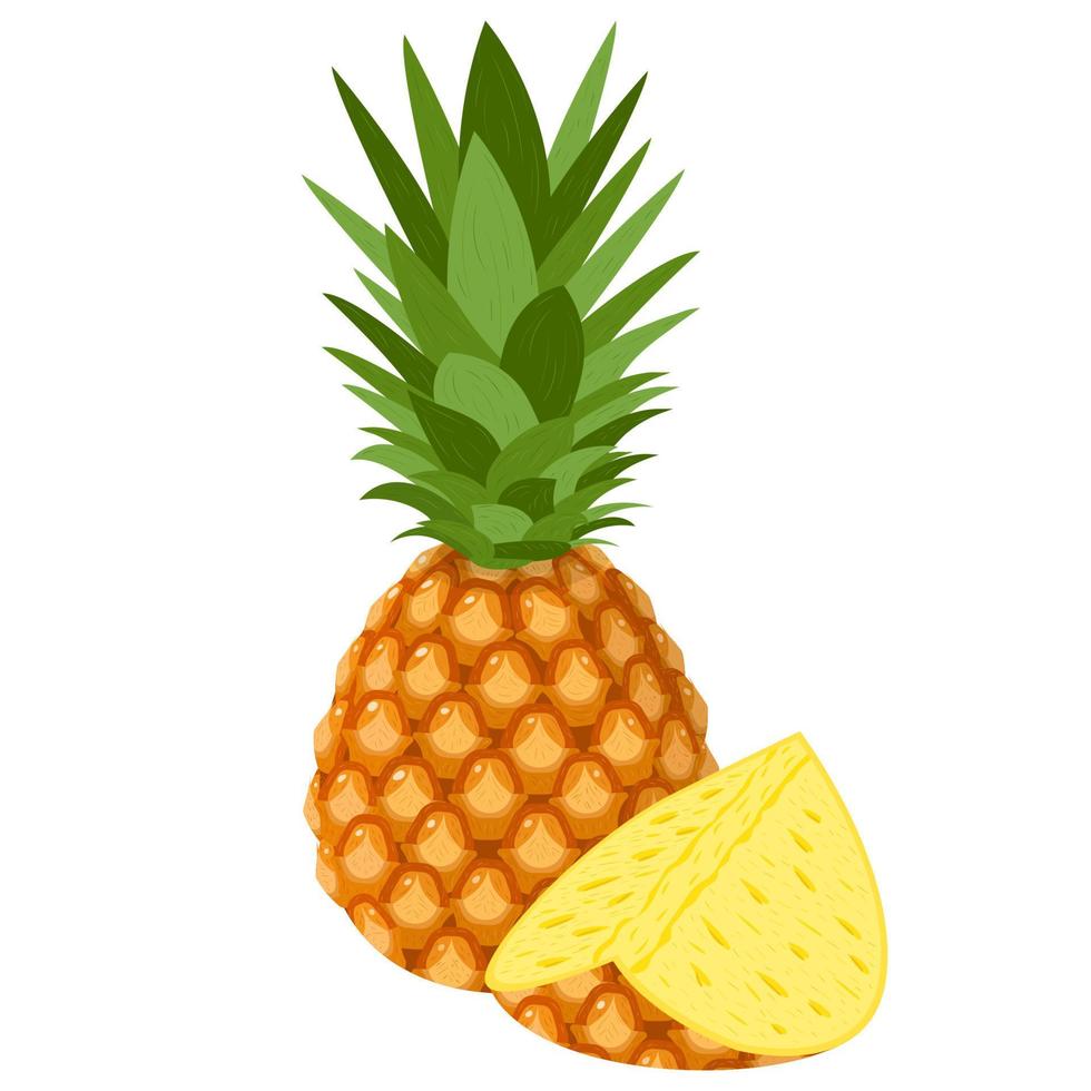 frutta fresca intera e metà dell'ananas isolata su fondo bianco. frutta estiva per uno stile di vita sano. frutta biologica. stile cartone animato. illustrazione vettoriale per qualsiasi disegno.