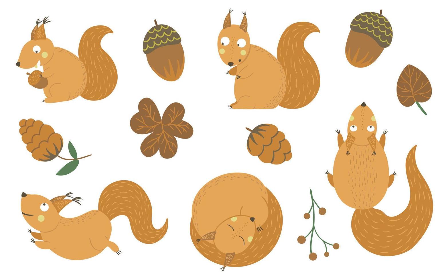 set vettoriale di scoiattoli divertenti piatti disegnati a mano in stile cartone animato in diverse pose con clip art cono, ghianda, foglia. carina illustrazione autunnale di animali del bosco