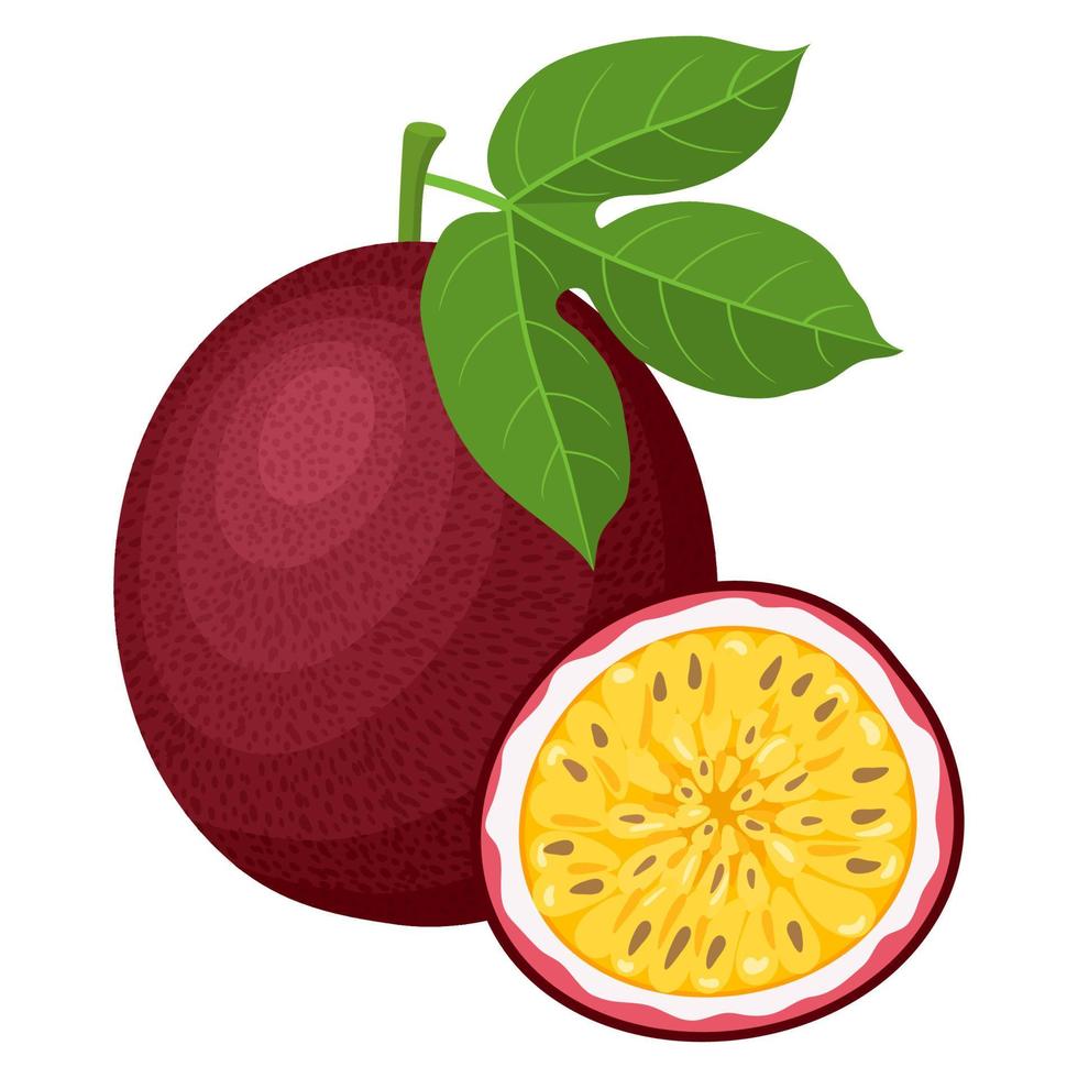 frutti della passione esotici freschi e luminosi interi e metà isolati su sfondo bianco. frutta estiva per uno stile di vita sano. frutta biologica. stile cartone animato. illustrazione vettoriale per qualsiasi disegno.