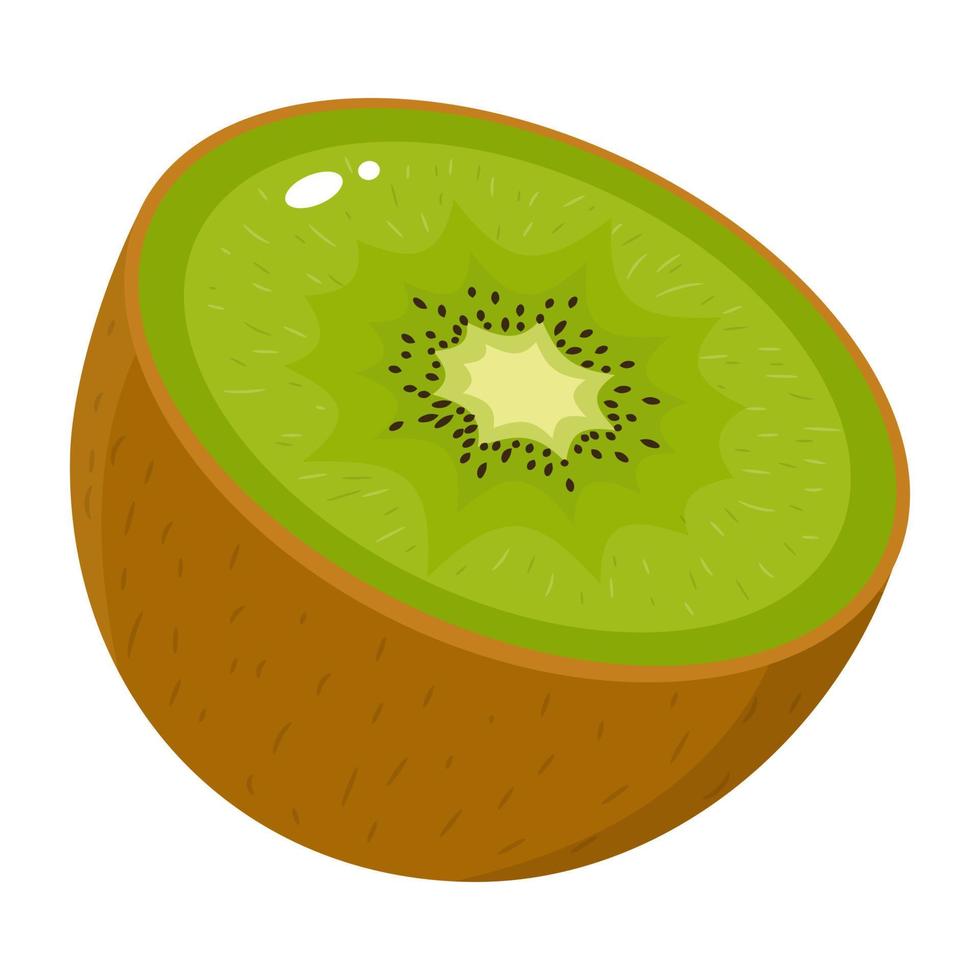 fresco mezzo kiwi isolato su sfondo bianco. frutta estiva per uno stile di vita sano. frutta biologica. stile cartone animato. illustrazione vettoriale per qualsiasi disegno.