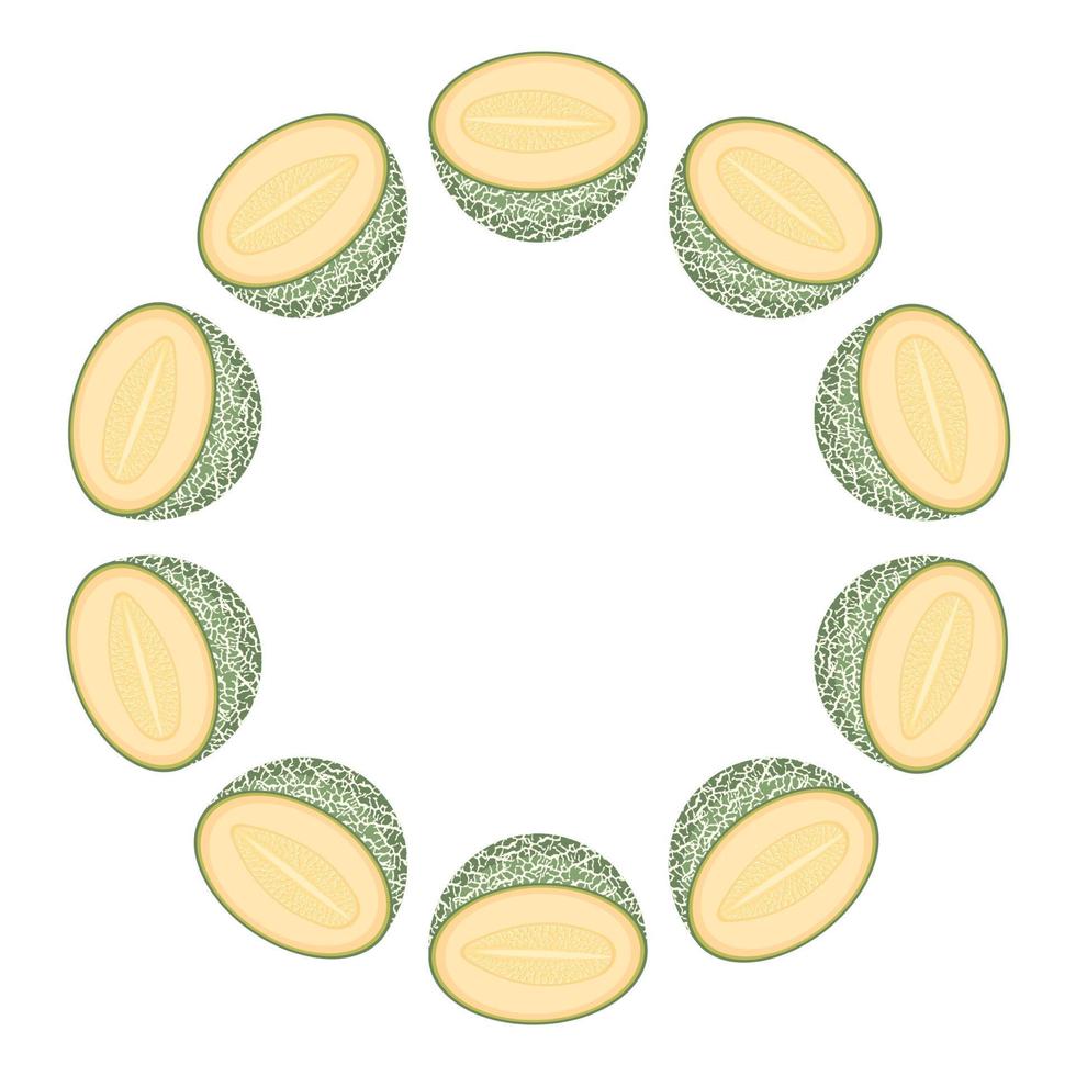 corona di melone cantalupo verde con spazio per il testo. cibo dolce biologico dei cartoni animati. frutta estiva per uno stile di vita sano. illustrazione vettoriale per qualsiasi disegno.