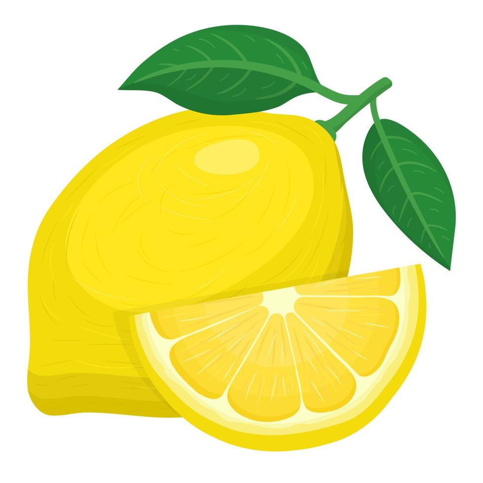 fresco luminoso esotico intero e tagliata fetta di limone frutta isolata su sfondo bianco. frutta estiva per uno stile di vita sano. frutta biologica. stile cartone animato. illustrazione vettoriale per qualsiasi disegno.