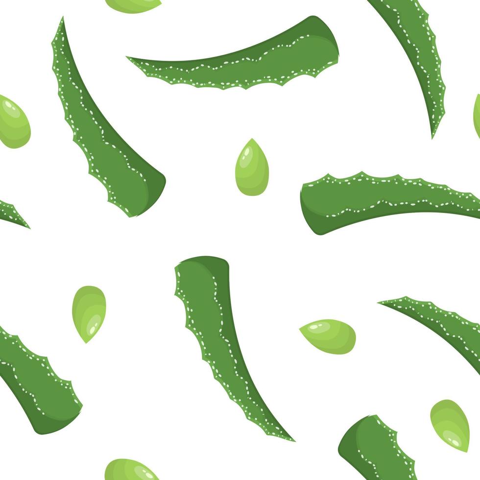 modello senza cuciture con foglie tagliate di piante medicinali di aloe vera isolate su sfondo bianco. stile cartone animato. illustrazione vettoriale per qualsiasi disegno.