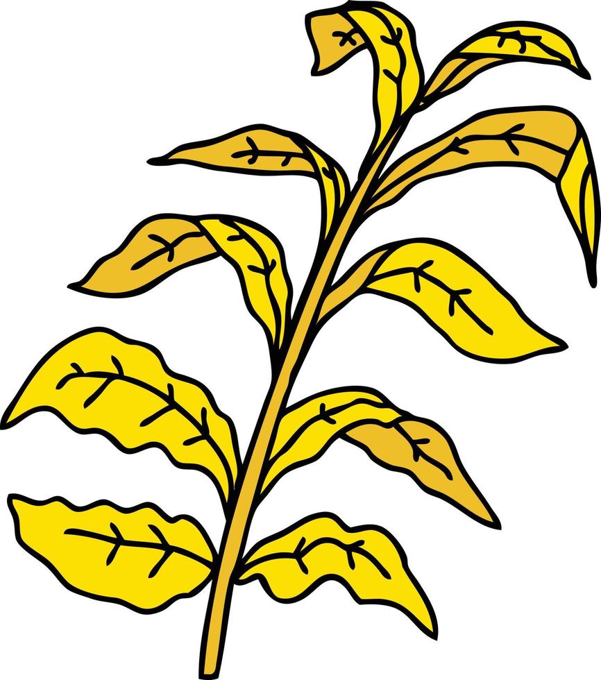 foglie di mais del fumetto stravagante disegnato a mano vettore