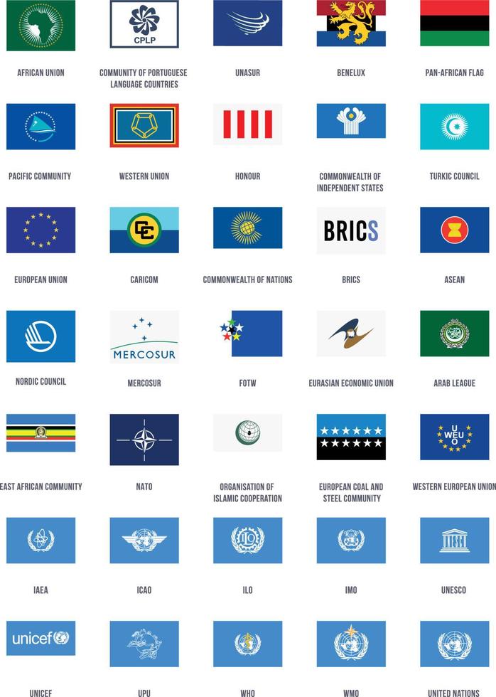 organizzazioni di bandiere vettore