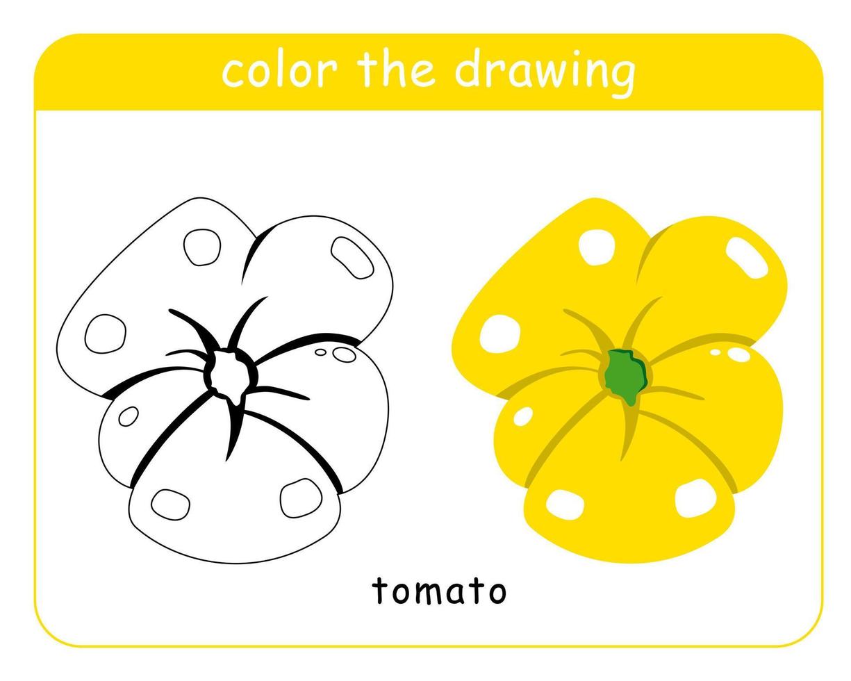 libro da colorare per bambini. pomodori a colori e in bianco e nero. vettore