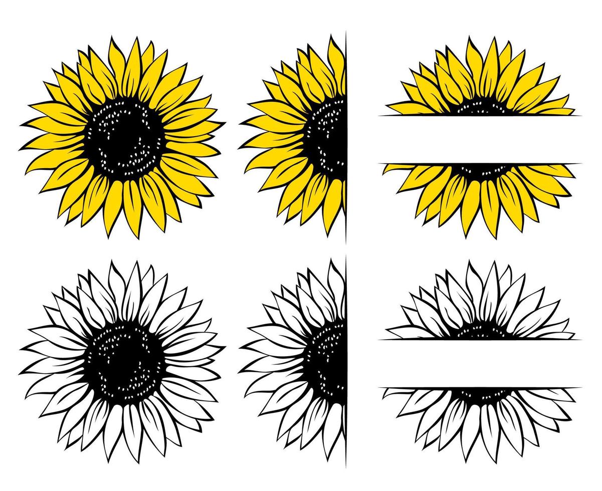 set di girasoli selvatici, cornice floreale, illustrazione vettoriale isolata su sfondo bianco