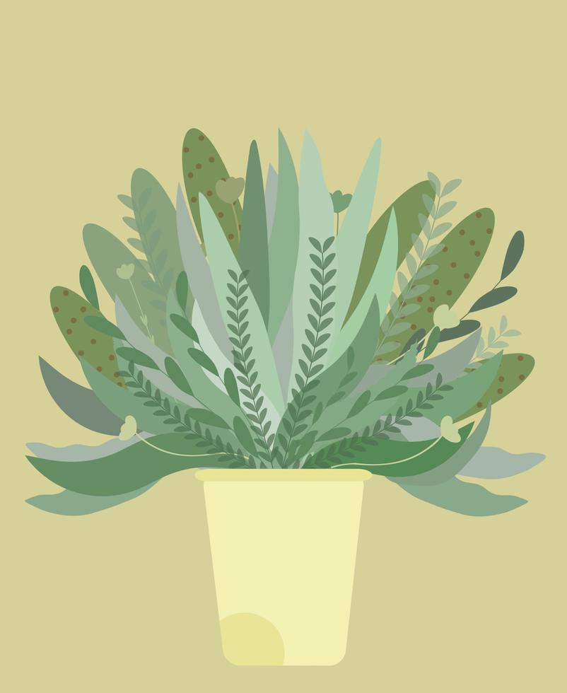succulente pianta d'appartamento cactus naturale disegnato a mano organico doodle botanico in una pentola. vettore
