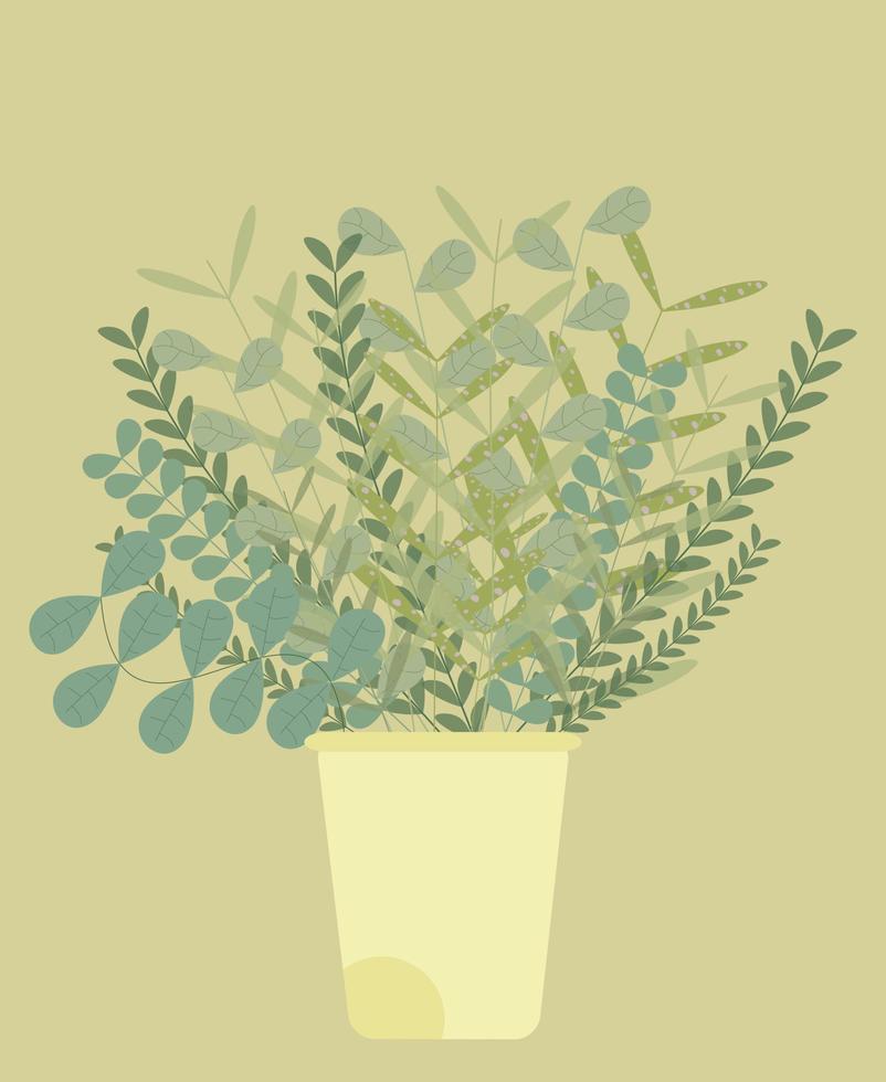 piante da appartamento succulente disegno a mano naturale botanica doodle biologico in una pentola. vettore