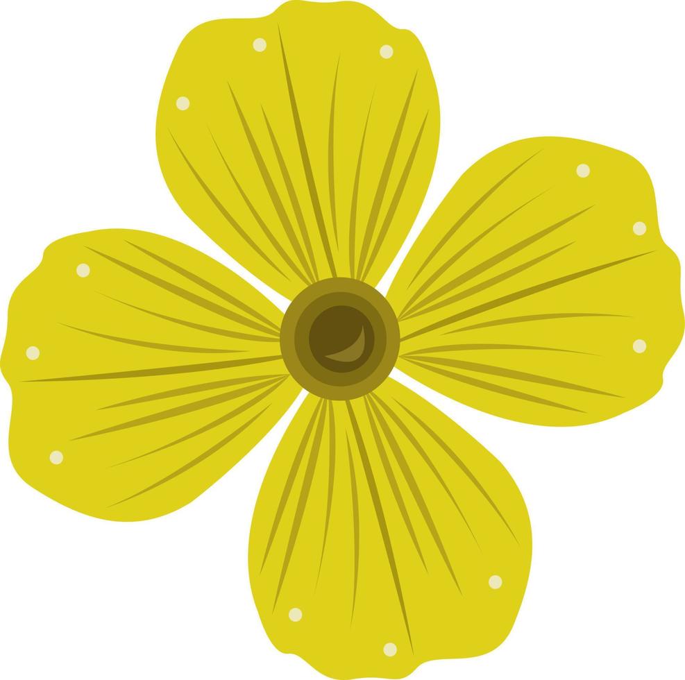 illustrazione vettoriale di fiori di sundrop per la progettazione grafica e l'elemento decorativo