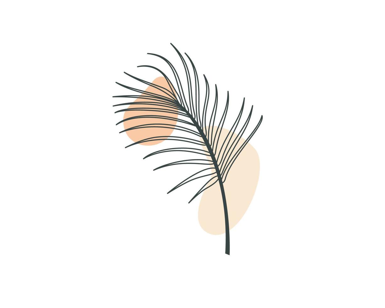 foglia di palma estetica. disegno vettoriale delle piante