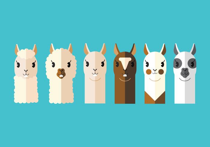 Vector Llama's Head