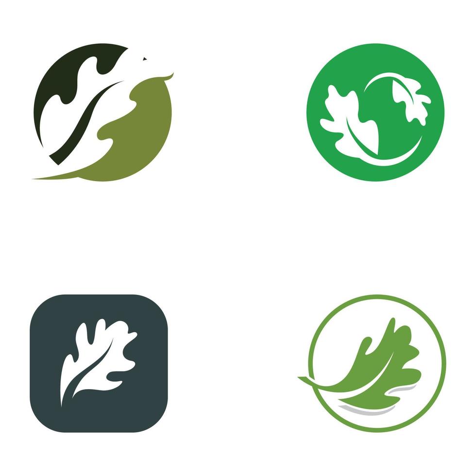 autunno quercia foglia logo e quercia albero logo. con facile e semplice la modifica di vettore illustrazione.