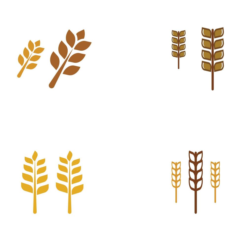 logo di grano o cereali, campo di grano e logo della fattoria di grano.con illustrazioni di modifica facili e semplici. vettore