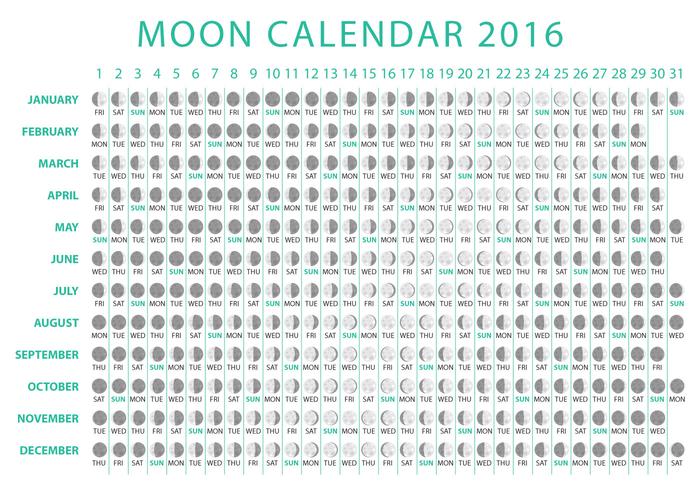 Vettore del calendario 2016 della luna