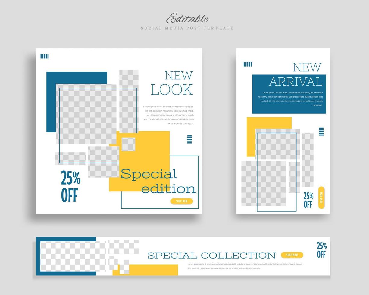 vettore di progettazione del modello di post sui social media