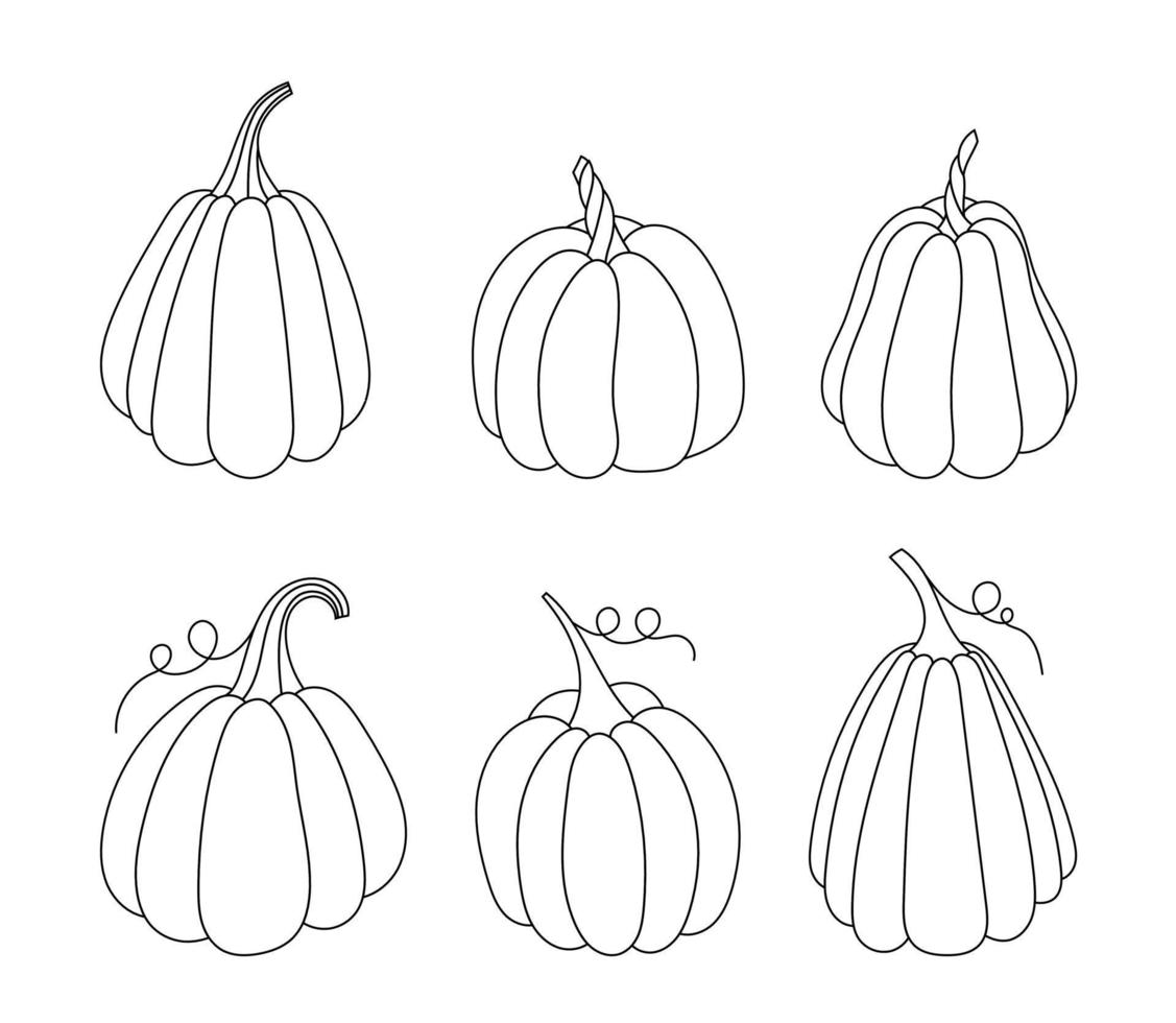 schema zucca, zucca scarabocchi, zucca linea arte vettore illustrazione.