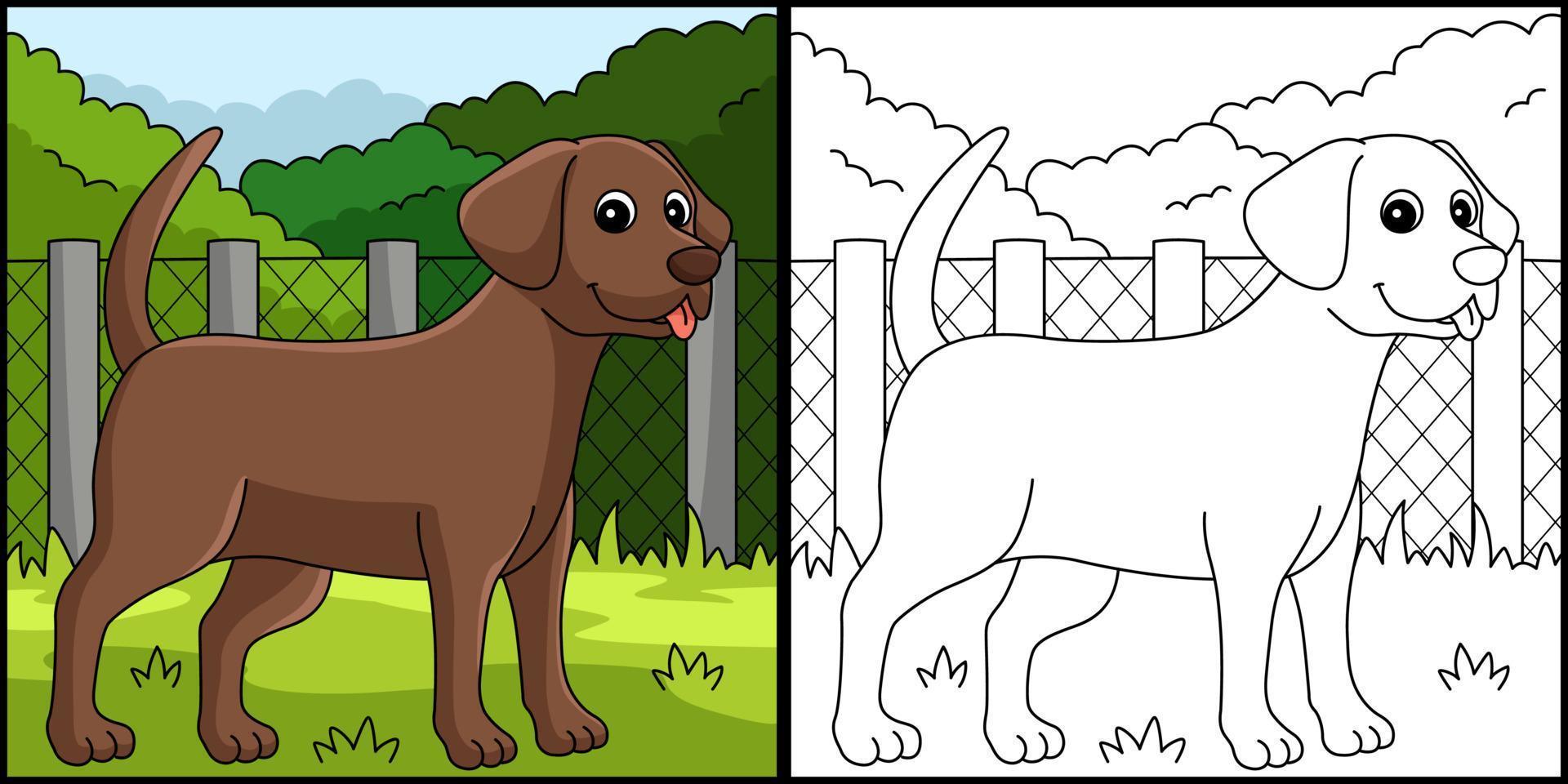 cioccolato laboratorio cane colorazione pagina illustrazione vettore
