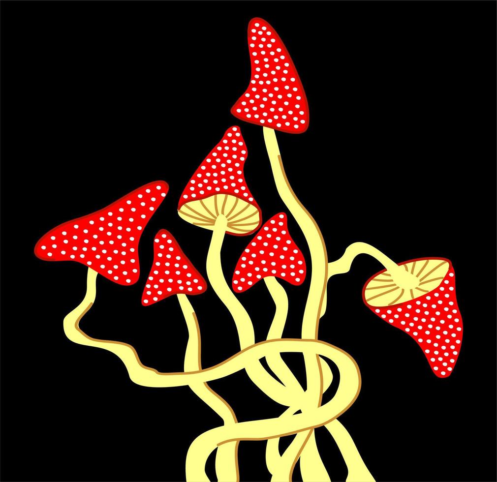 volare agarico su nero sfondo. luminosa decorativo funghi. vettore