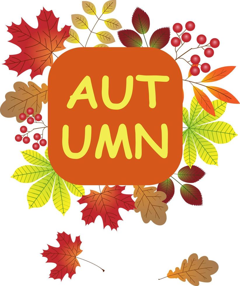 autunno striscione. il parola autunno su il sfondo di le foglie. cartone animato vettore illustrazione.