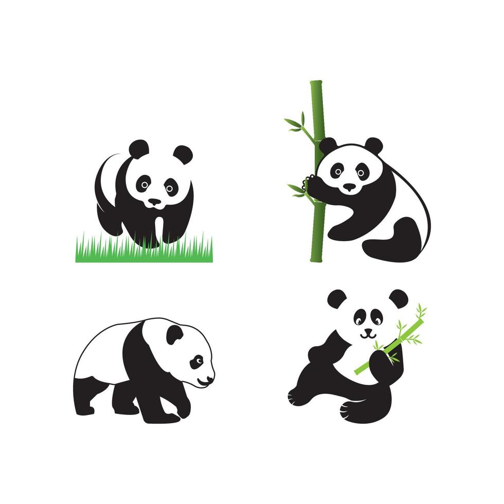 panda icona vettore illustrazione simbolo design