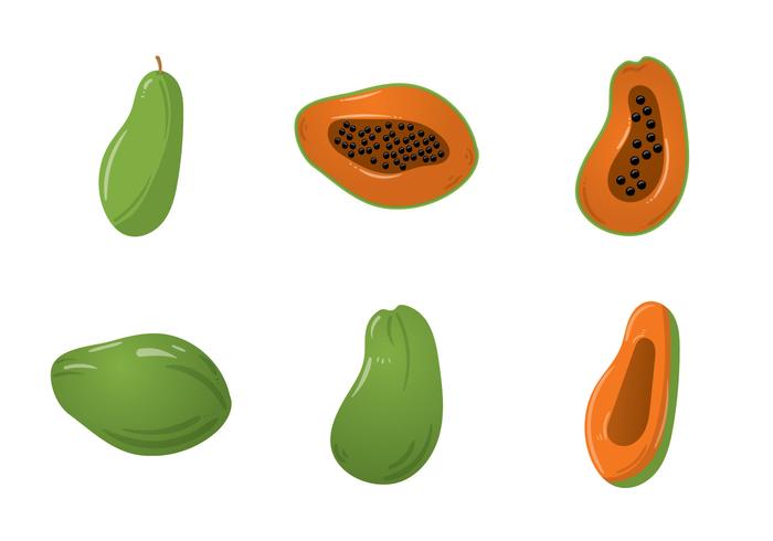 Papaya Vector Illustration gratuito