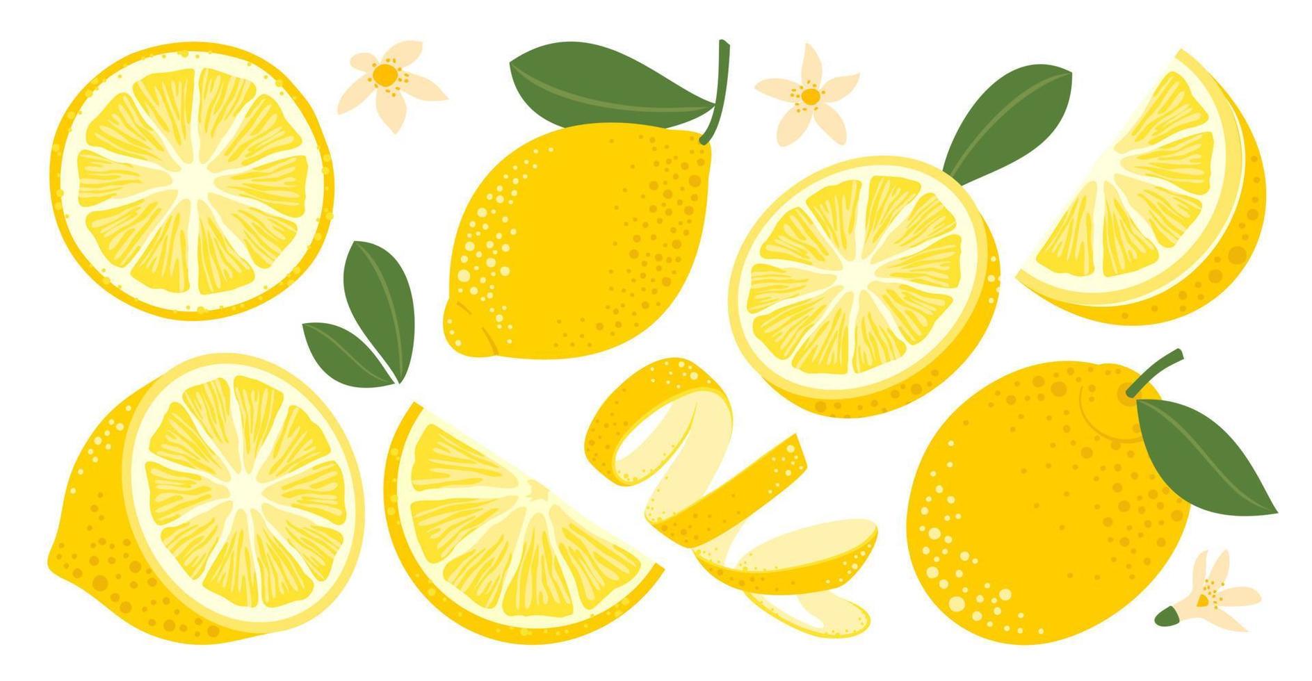 Limone impostare. frutta, fette, sbucciare, foglie, fiori. vettore