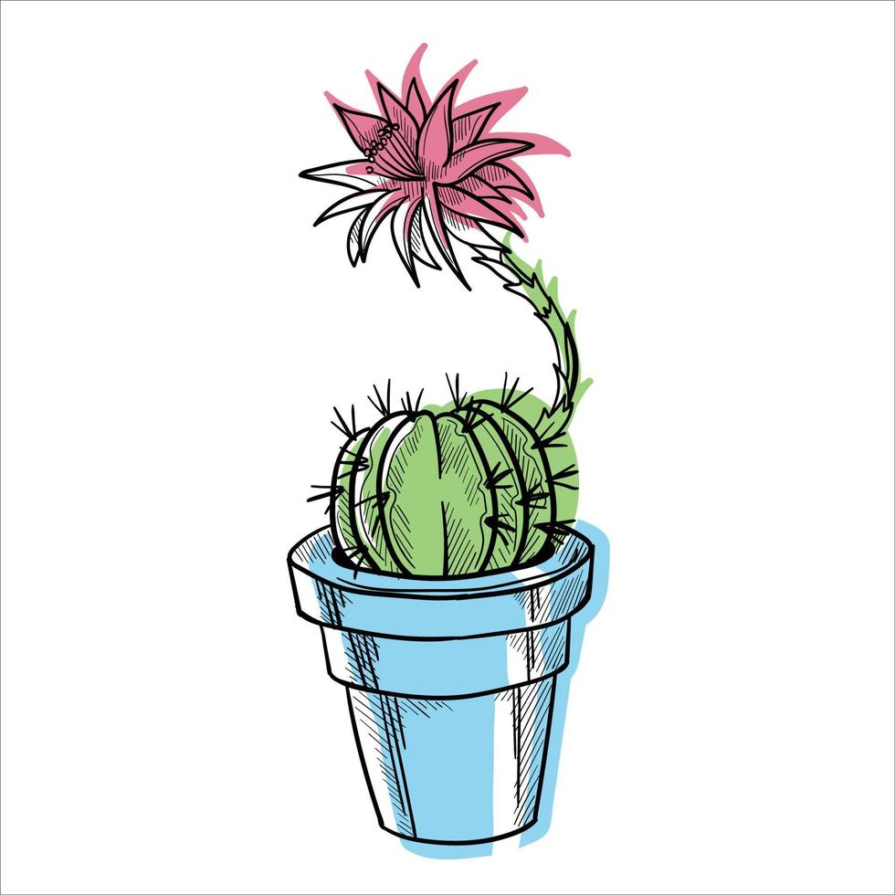 cactus nel vasi di fiori colorato piatto illustrazione isolato o bianca vettore