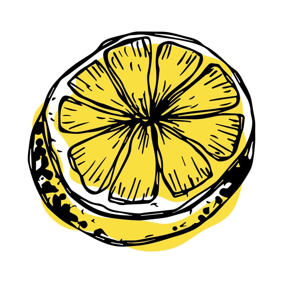 clipart di limone vettoriale. icona di agrumi disegnata a mano. illustrazione di frutta. per stampa, web, design, arredamento vettore