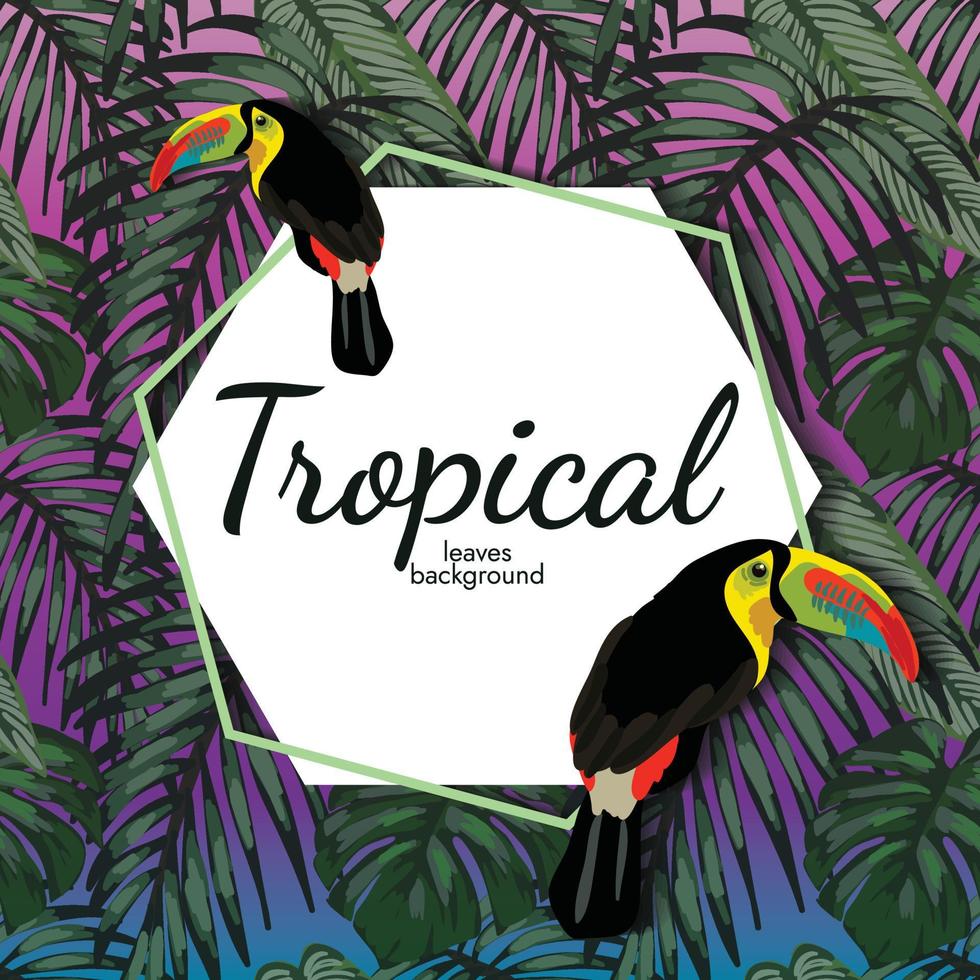 carino tropicale uccello bandiera design vettore