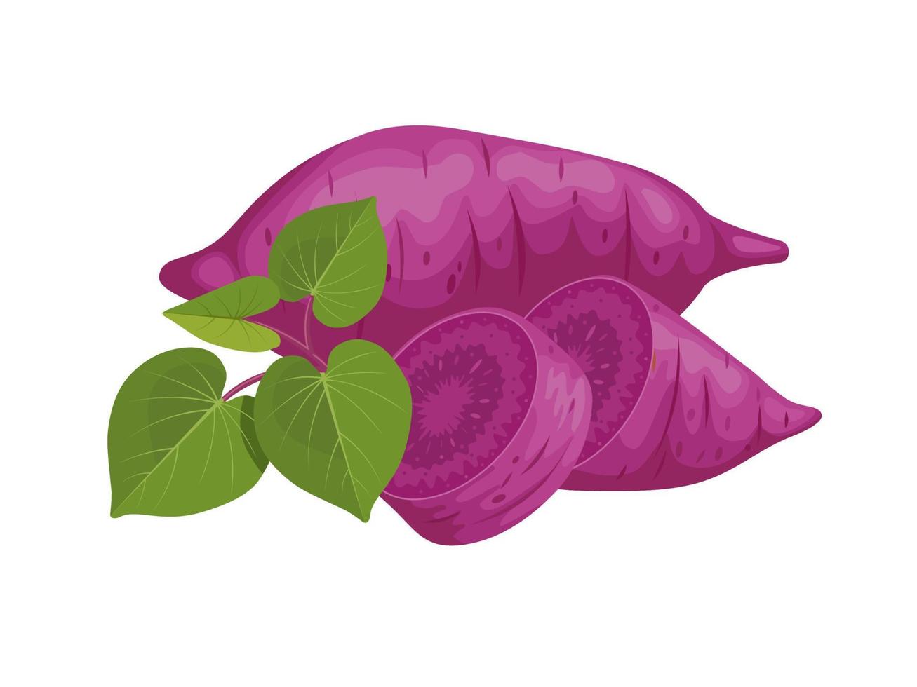 vettore illustrazione, viola dolce Patata con le foglie e fette, isolato su bianca sfondo, adatto per siti web, opuscoli e agricolo prodotti confezione.