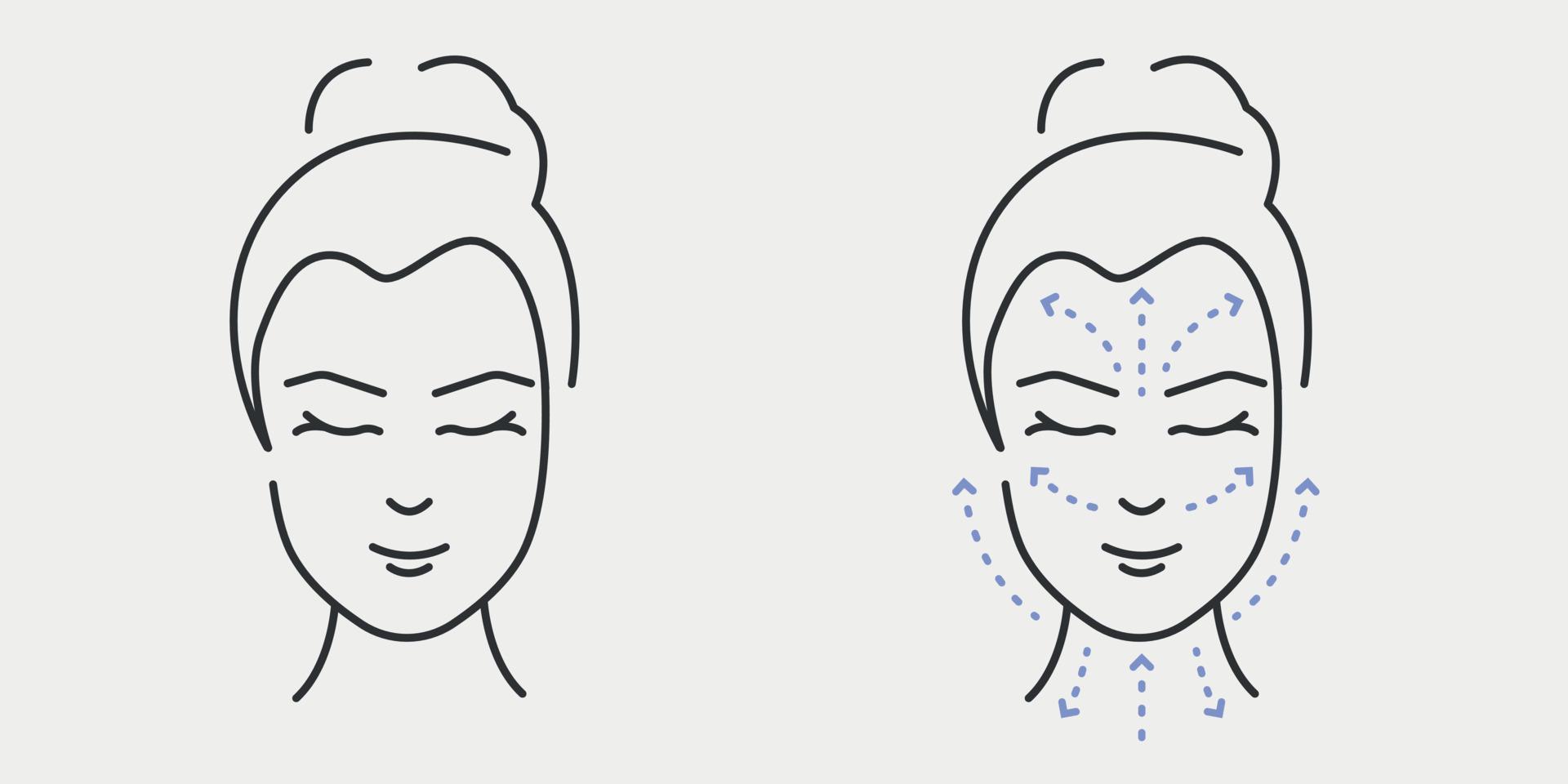 linfatico massaggio schema. donna viso pelle cura concetto. vettore illustrazione