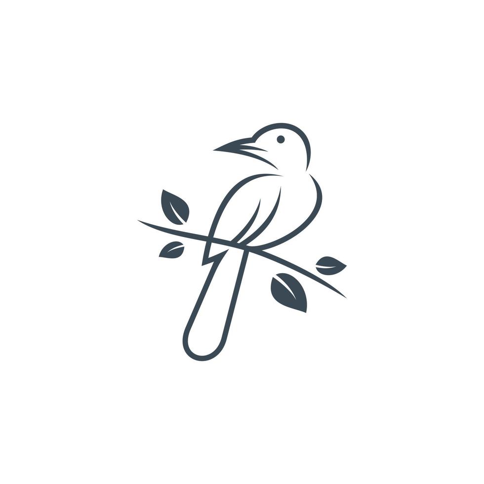 modello di progettazione di logo di uccello vettore