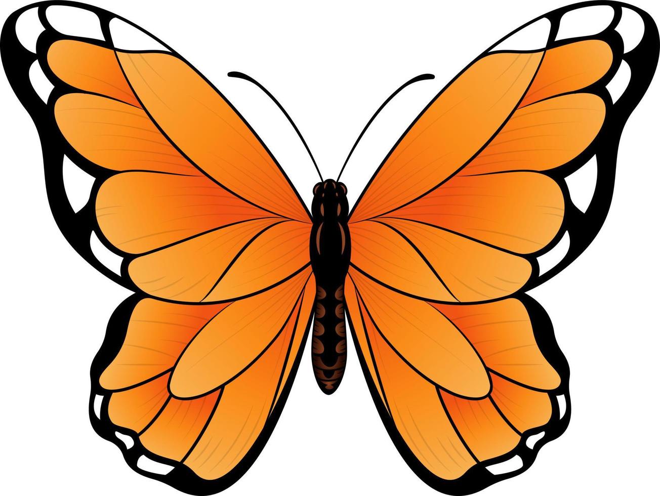 monarca farfalla vettore illustrazione - bellissimo tropicale farfalla