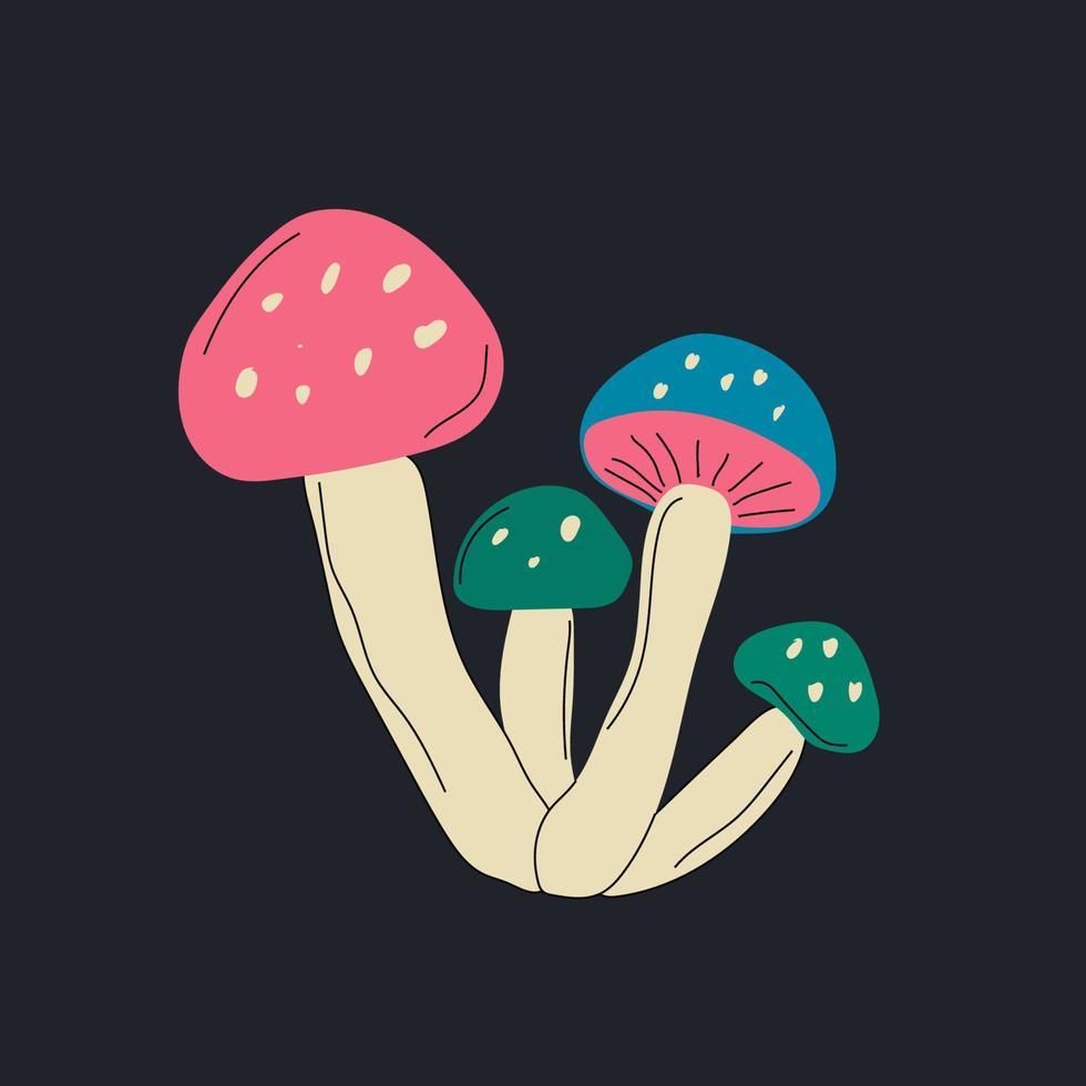 velenoso funghi vettore illustrazione disegnato di mano, famiglia di immangiabile funghi pericoloso funghi, fungo velenoso, volare agarico, bianca fungo velenoso, famiglia di funghi isolato su sfondo